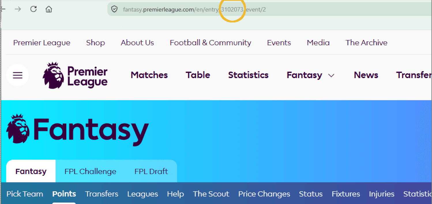 Instructional screenshot for 2. Find your FPL Entry ID